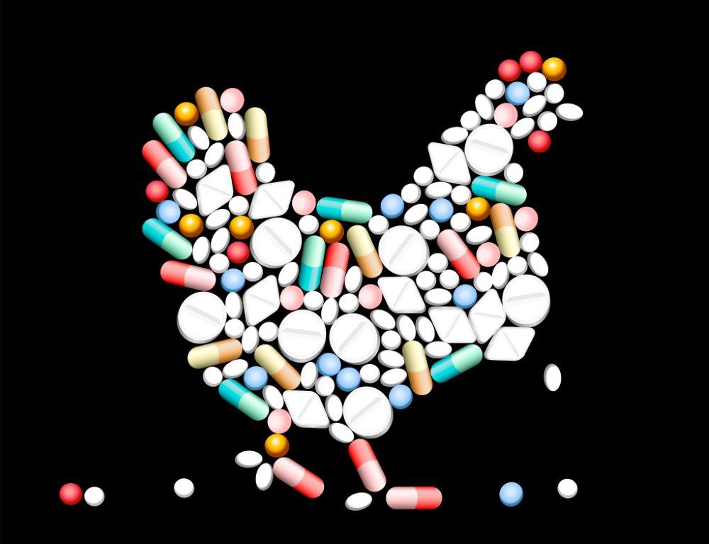 Dosing Chickens with “Last Resort Antibiotic” is Fostering Global Superbugs