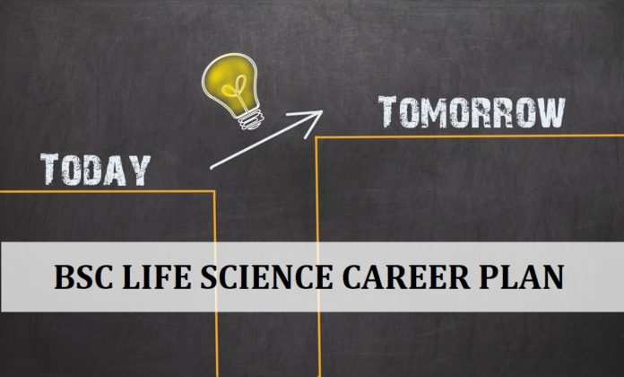 Bsc Life Science Career Plan, 10 Things You Must Do during Bsc Degree