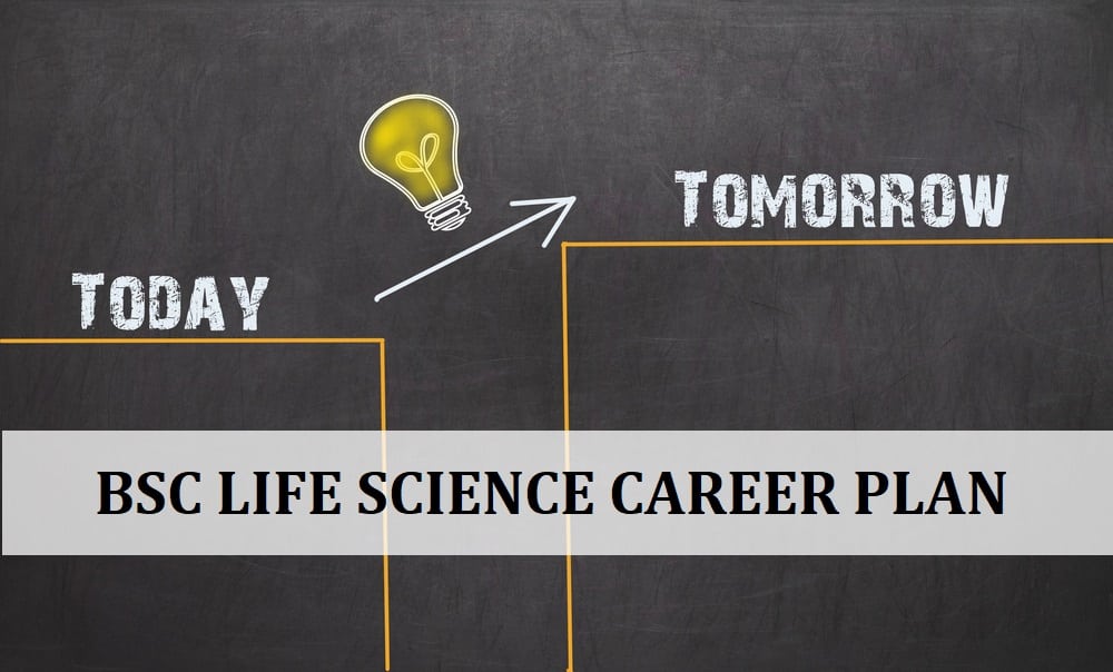 Bsc Life Science Career Plan, 10 Things<!-- This site is converting visitors into subscribers and customers with OptinMonster - https://optinmonster.com :: Campaign Title: Inline Subscribers --></noscript><div id=