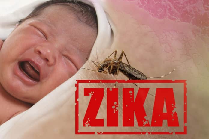 IIT Mandi Researchers Discover New Drug Against Zika Virus