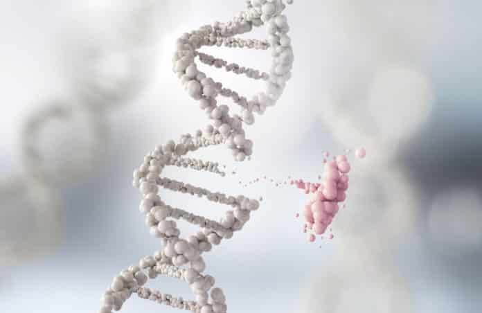 Mini DNA Reader For Progressive Development of Anticancer Drugs