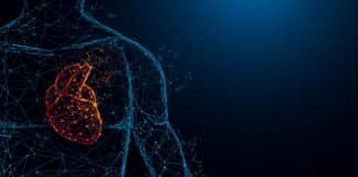 Researches Target acyl-CoA Level For Treating Heart Failures