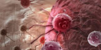 Why Some Cancer Cells Die With Treatment & Others Don't