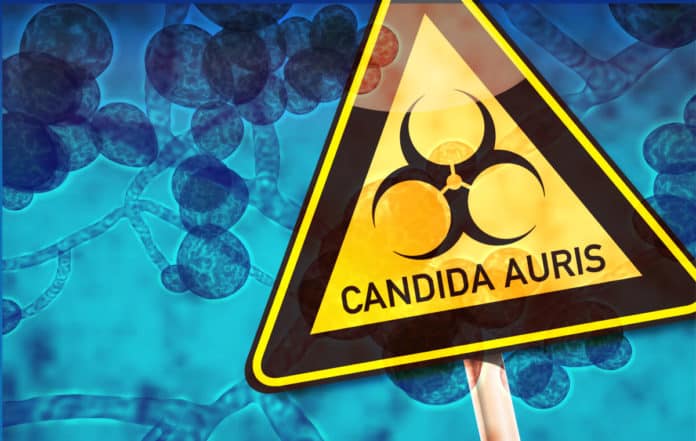 Candida auris Outbreak - A Serious Global Health Threat