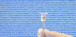 World's First Computer-Generated Bacterial Genome