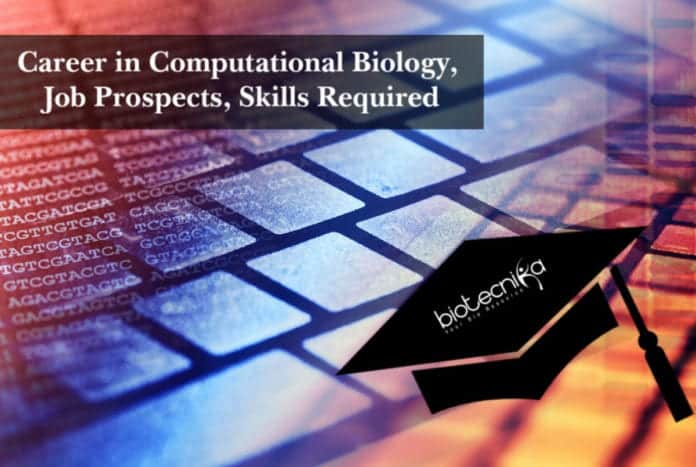 Career in Computational Biology, Job Prospects, Skills Required