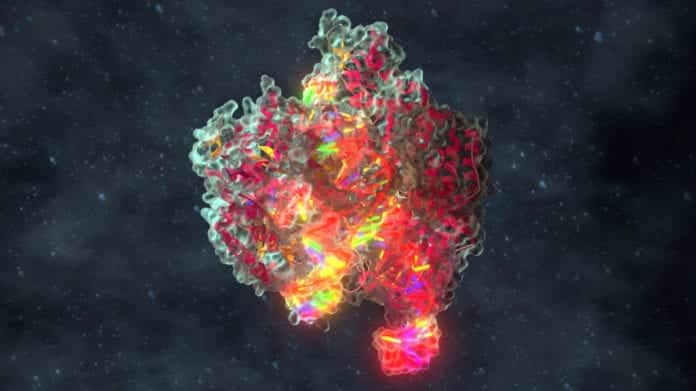 First CRISPR-Cas9 Blocking Small Molecule Identified
