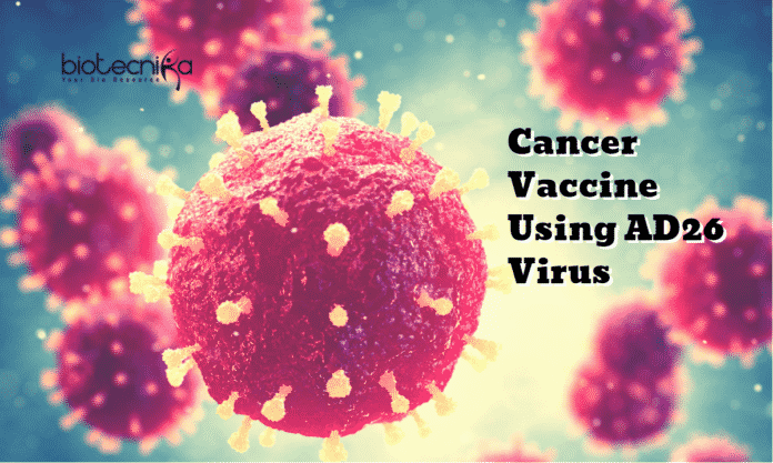 Cancer Vaccine Using AD26 Virus