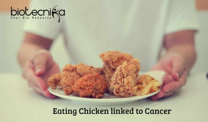 Eating Chicken linked to Cancer