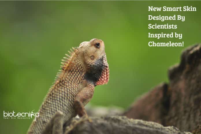 New Smart Skin Designed By Scientists Inspired by Chameleon