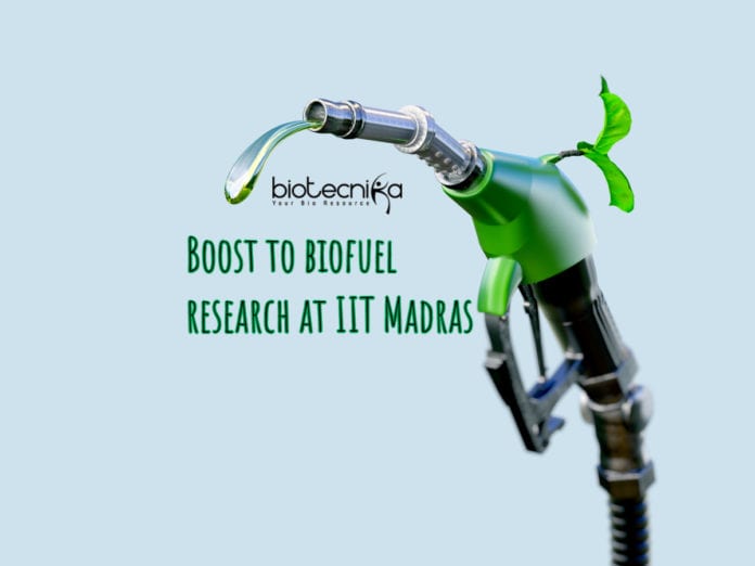 IIT Biofuel research