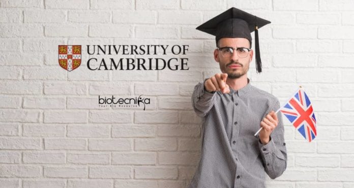 University of Cambridge PhD