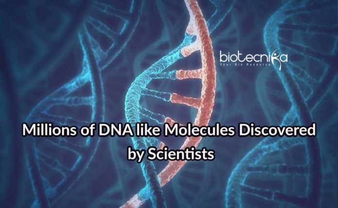 DNA Like Molecules