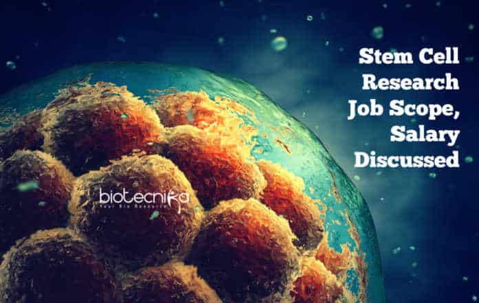 Stem Cell Research Job Scope, Salary