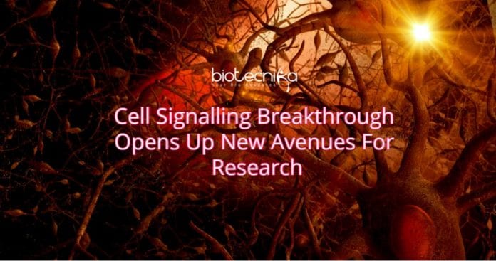 New Research on Cell signalling