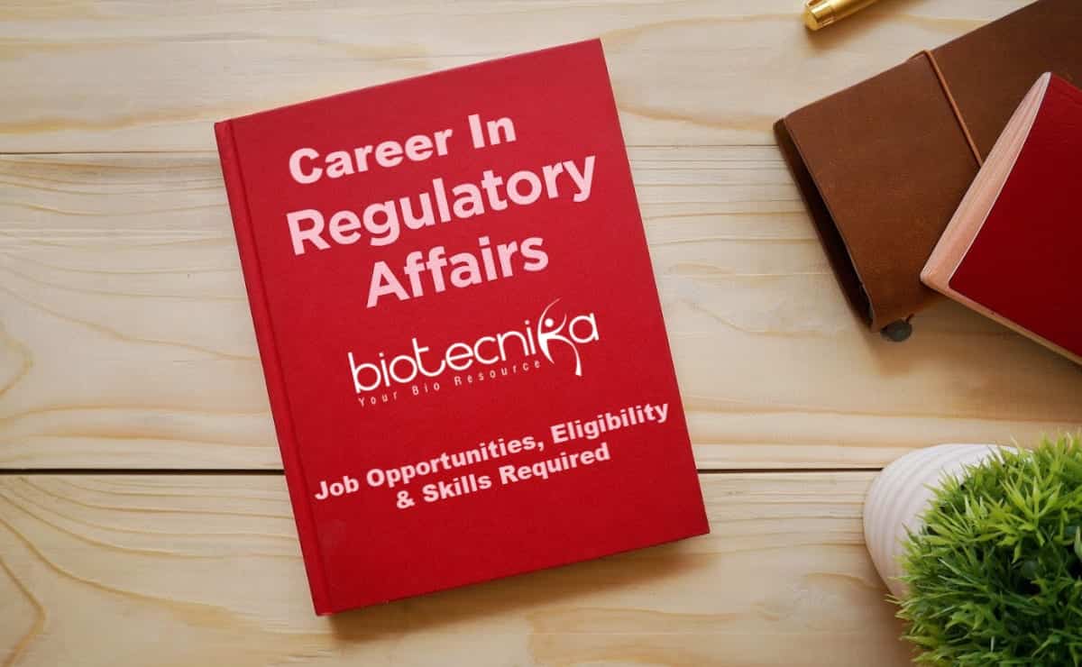 Streng karton Bogholder Regulatory Affairs Career - Job Opportunities, Eligibility & Skills