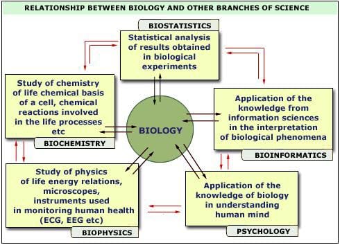 Best Biology Career Options
