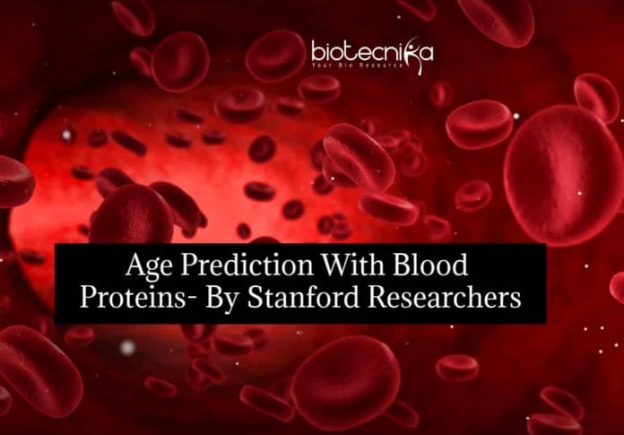 Age Prediction With Blood Proteins