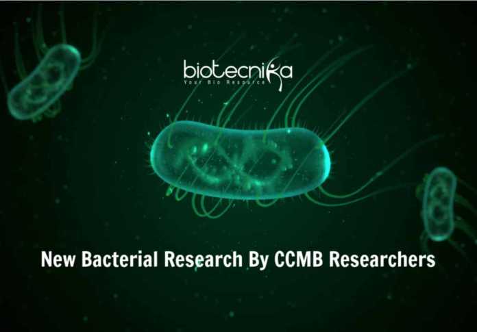 CCMB Bacteria Cell-Wall Development Research