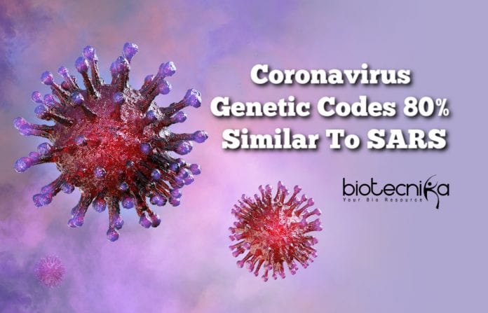 Coronavirus-80-similar-to-SARS
