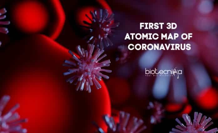 First 3D Atomic Map of Coronavirus