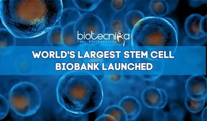 World's Largest Stem Cell Biobank At Lund University