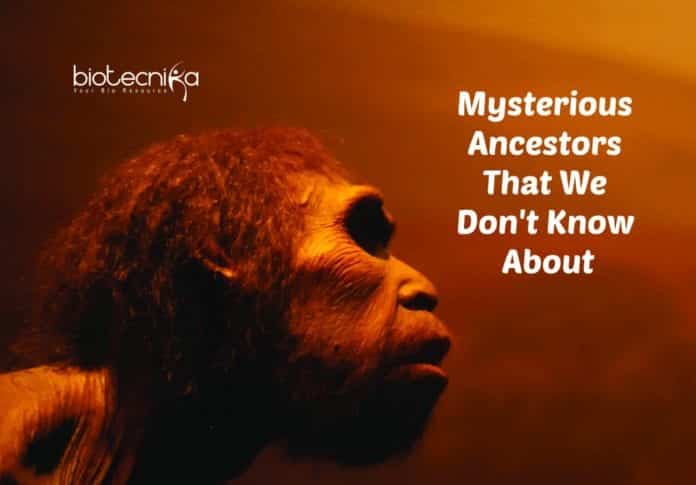 ghost DNA in West Africans
