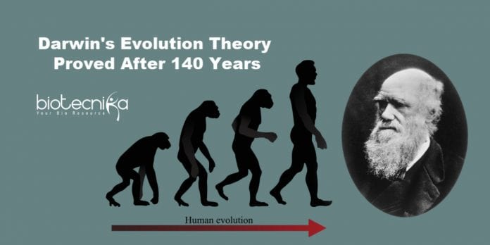 Darwin's evolution theory