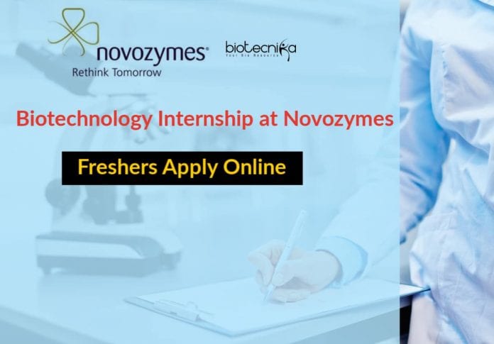 Biotechnology Internship at Novozymes