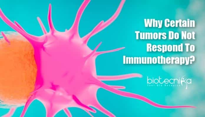 How Tumors hide from immunotherapy