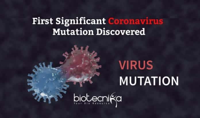 First Coronavirus Mutation Discovered
