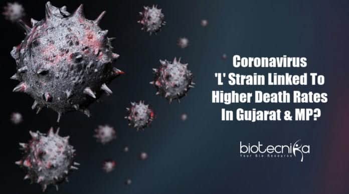 Coronavirus strain causing higher deaths