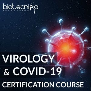 How to Make A Successful Career in The Field of Virology?