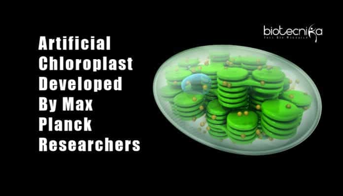 Researchers develop artificial chloroplast