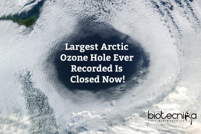 The Largest Arctic Ozone Hole Closed Now