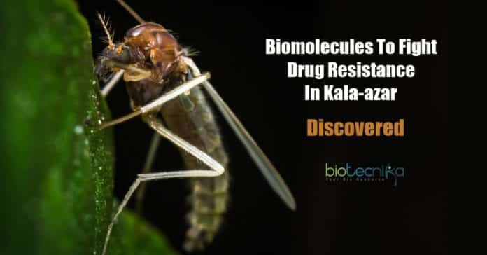 Biomolecules against drug resistance in Kala-azar