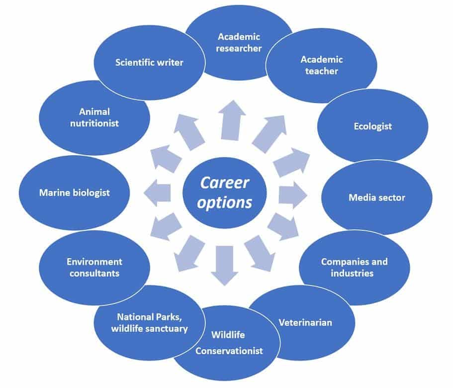 Career Options After MSc Zoology
