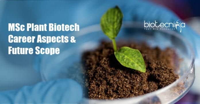 MSc Plant Biotechnology Career