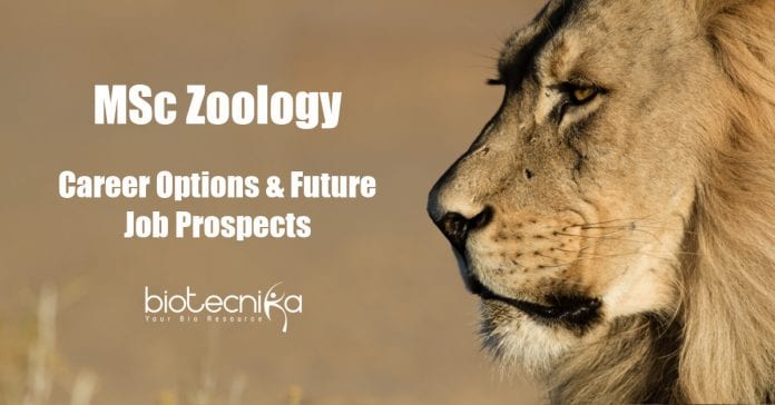 Career Options After MSc Zoology