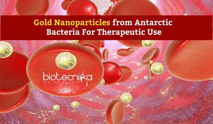 Gold Nanoparticles from Antarctic Bacteria