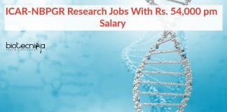 ICAR-NBPGR Biotech Research Jobs