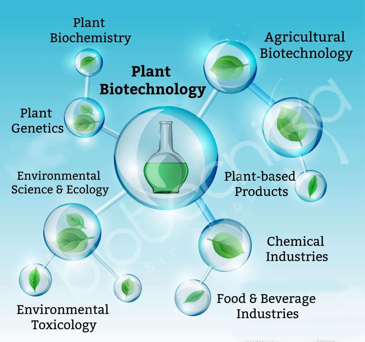 MSc Plant Biotechnology Career - Msc Plant Biotechnology Job Scope