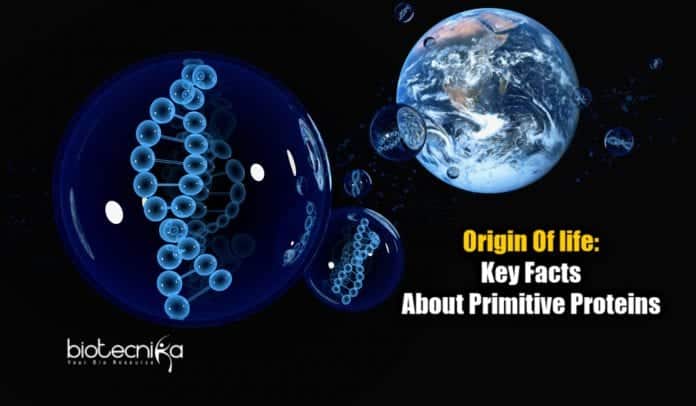 protein formation during origin of life