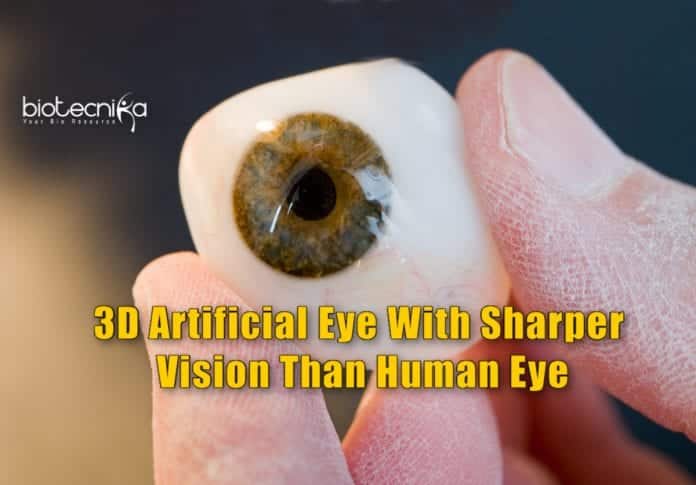 Artificial Eye With 3D Retina