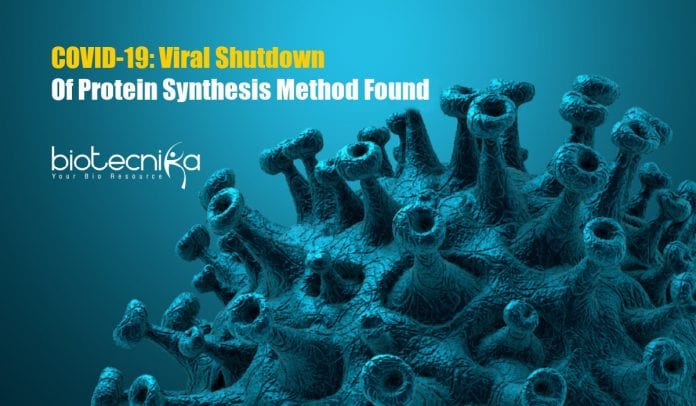 COVID-19 Viral Shutdown of Protein Synthesis
