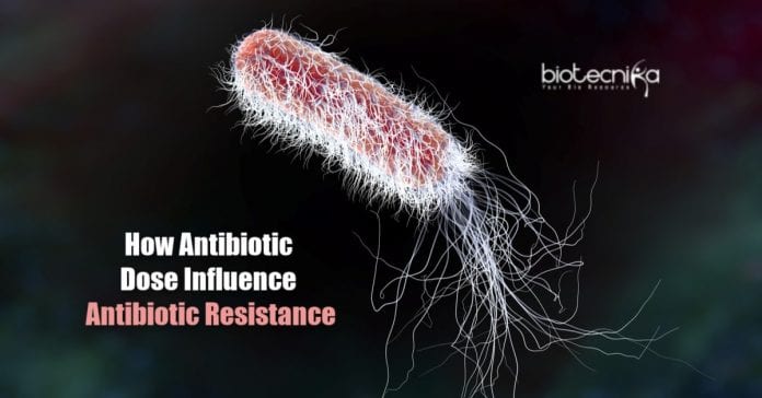 antibiotics and emergence of antibiotic resistance