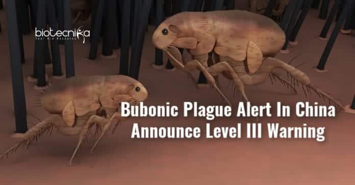 bubonic plague reported in china