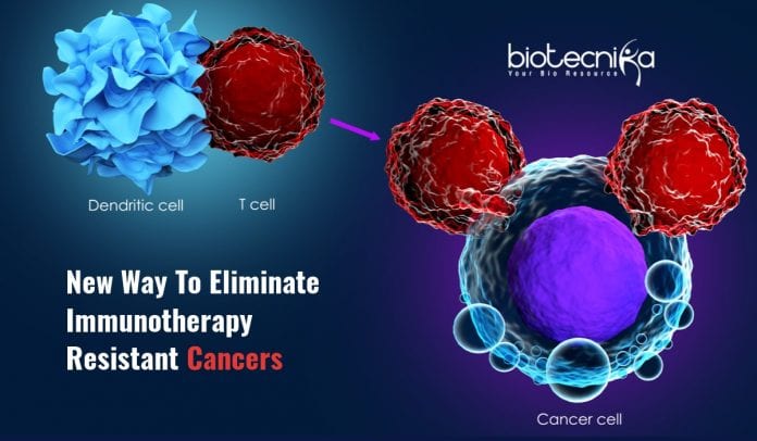 Blocking TREM2 enhance immunotherapy