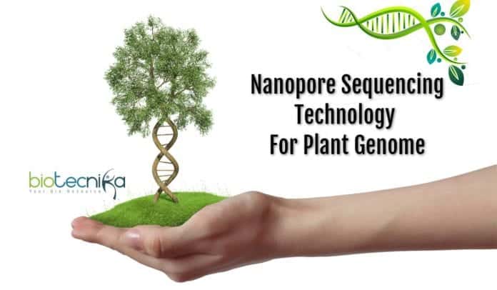 Nanopore genome sequencing technology