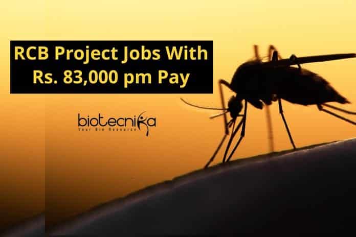 RCB Project Jobs With Rs. 83,000 pm Pay